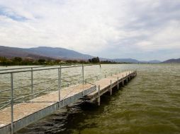 Trabajan Gobierno y universidad por la Laguna de Cajititlán
