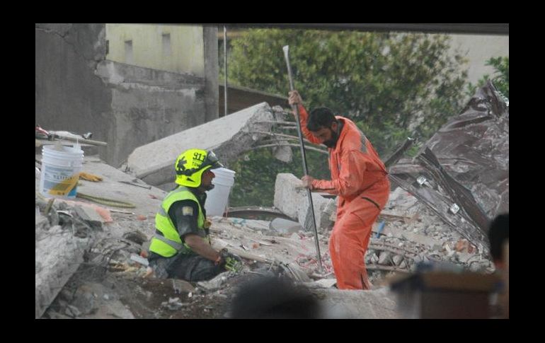 Rescatistas de Los Ángeles llegan a México: embajadora Jacobson