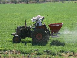El recurso entregado cubrirá un total de poco más de tres mil hectáreas apoyadas. ARCHIVO  /