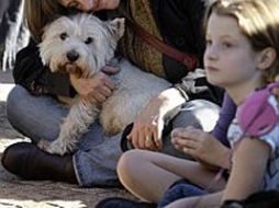 Un buen número de los perros reaccionó con ladridos y aullidos. AP  /