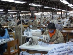 En el sector textil jalisciense se analiza la posibilidad del aprovechamiento del bambú. ESPECIAL  /