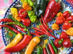 Al consumir chile en nuestro cuerpo surge un efecto bioquímico. ESPECIAL  /