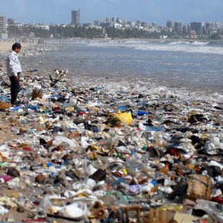 Ban pide combatir deterioro de los océanos para evitar perder sus riquezas