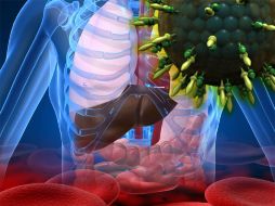 La hepatitis C es una enfermedad que tarda entre 15 y 20 años en manifestarse. ID  /