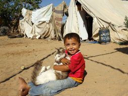Un niño palestino, juega en la Franja de Gaza. La casa de campaña a sido su “hogar” desde que la ofensiva israelí atacó Palestina. AP  /