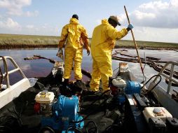 Empleados de British Petroleum aspiran el petróleo en la bahía de Barataria, cerca de Grand Isle, en Louisiana. REUTERS  /