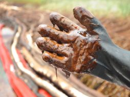 Vista de un guante cubierto de crudo. EFE  /