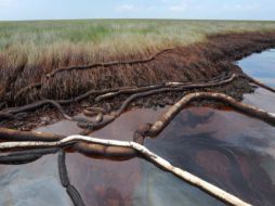 El crudo sigue sin poder ser contenido tras dos meses de operaciones por parte de BP y el gobierno de Estados Unidos. EFE  /