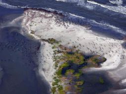 Podrían llegar a México algunas bolas de alquitrán, capas de chapopote o estelas de aceite. EFE  /