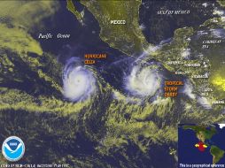 'Darby' se mueve a una velocidad de 11 kilómetros por hora. AP  /