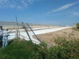 Expansión del fraccionamiento, donde se aprecia una malla en violación del decreto del Área Protegida del bosque. L. NAVARRO  /