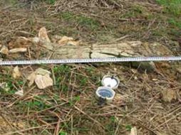 El responsable de la exploración reveló que el hueso se localizó en la costa de Veracruz. INAH.GOB  /