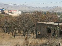 El Área Natural Protegida del bosque El Nixiticuil. ARCHIVO  /