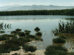 La calidad del agua de la Laguna de Cajititlán es óptima tanto para la cría como para el consumo humano, aseguró la CEA. ARCHIVO  /