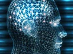 Aún así la empresa rusa ha guardado cuatro cuerpos y ocho cabezas de personas que flotan en recipientes de metal. ESPECIAL  /