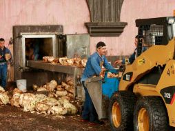 Hay buenas noticias para los mexicanos. EFE  /