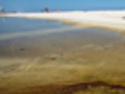 El mayor atentado contra la naturaleza es documentado por el artista español. EFE  /