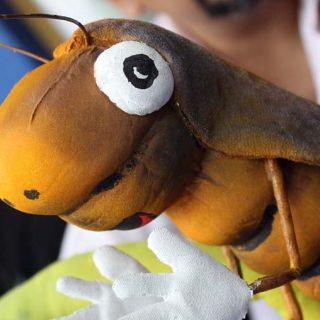 Bibliotecas de Guadalajara lanzan actividades para el verano