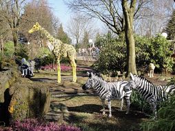 Los parques naturales que existen en Africa, ponen en peligro a las especies. ESPECIAL  /