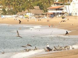Aseguran que de  las nueve playas certificadas en todo el país, tres son de Puerto Vallarta. ARCHIVO  /