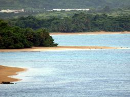 Perú ha hecho un buen trabajo en la preservación de los bosques. EFE  /