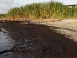 El crudo derramado ya ha alcanzado los cinco estados costeros de EU en el Golfo de México. EFE  /