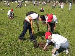 Asistieron más de 500 voluntarios al evento. A. CAMACHO  /