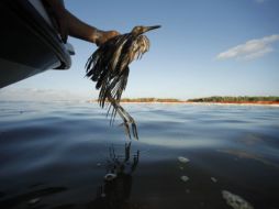 Uno de los principales temas en la agenda será el desastre causado por el derrame de crudo en el Golfo. AP  /