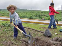 Miguel castro encabezó la reforestación en la avenida 8 de Julio. A CAMACHO  /
