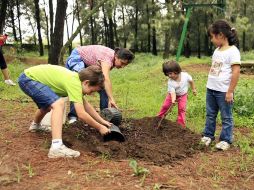 En el Bosque Los Colomos participaron decenas de niños en la reforestación de 500 especies. A. CAMACHO  /