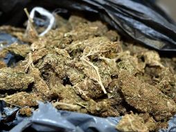 El peso aproximado de la hierba fue de mil 073 kilogramos, además se aseguró una camioneta. ARCHIVO  /