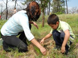 Ciudadanos y autoridades del municipio de Zapopan reforestaron el predio Mesa de Ocampo. ESPECIAL  /