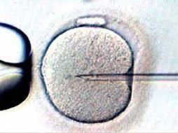Podrían reducir los costos del tratamiento de fertilidad. ESPECIAL  /