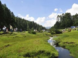 Vista general de la sierra de Chincua en la ciudad de Angangeo del estado de Michoacán . EFE  /