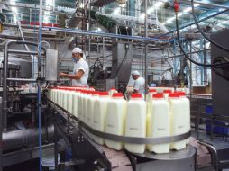 Jalisco es  líder en la producción lechera del país. ARCHIVO  /