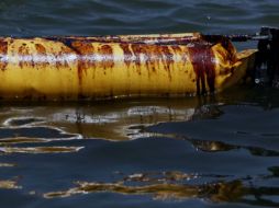 El Gobierno estadounidense aseguró que el pozo averiado derramó al mar 4.9 millones de barriles. AP  /