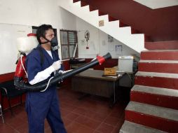 Las medidas contra el dengue seguirán. ARCHIVO  /