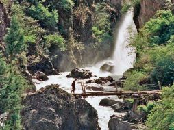 El nivel de consumo humano ha excedido la capacidad ecológica del planeta. ESPECIAL  /