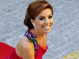 La protagonista de la serie ''Esposas desesperadas'' se manifiesta abiertamente contra la ley. REUTERS  /