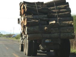 De la madera que se consume en la Entidad, entre 60% a 70% es de origen importado. ARCHIVO  /