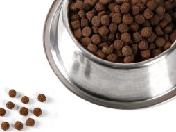 Los especialistas recomiendan un buen almacenamiento de la comida para mascotas. ESPECIAL  /