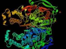 Esta proteína podría ayudar a la detección temprana del padecimiento. ESPECIAL  /