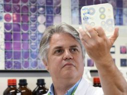 El profesor Denis Pierard, especialista en Microbiología y Virología investiga la cepa NDM-1. EFE  /