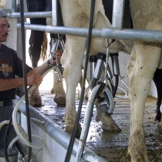 Avanza anteproyecto de una secadora de leche en Jalisco