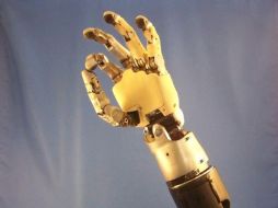 Cualquier persona podrá programar y operar el brazo robótico. ESPECIAL  /