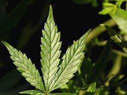 Se registraron efectos secundarios como dolores de cabeza, sequedad de los ojos, mareos, pérdida de sensibilidad y tos. EL UNIVERSAL  /