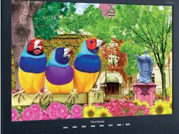 La tecnología también ofrece un mejor rendimiento y contraste. ESPECIAL  /