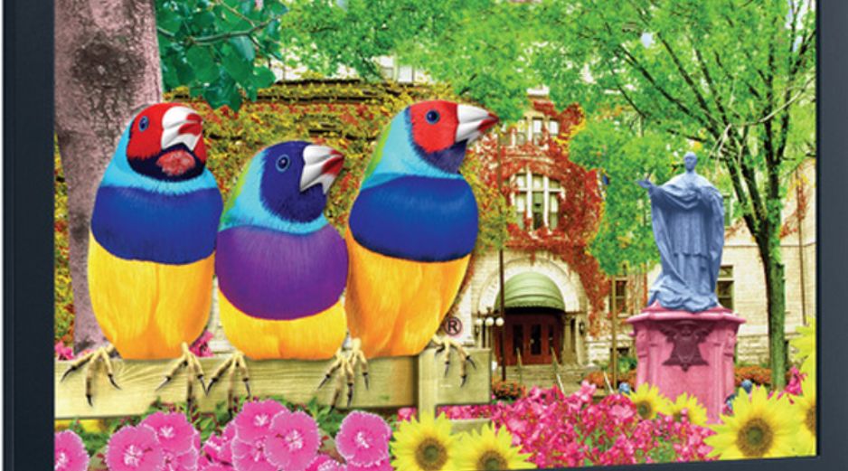 La tecnología también ofrece un mejor rendimiento y contraste. ESPECIAL  /