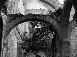 El esquema comenzará con una inversión de más de un millón de pesos. ELUNIVERSAL  /