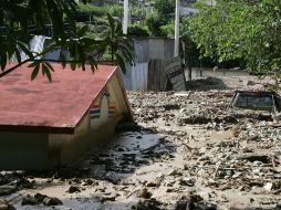 Además de los deslaves de cerros las inundaciones están afectando los cultivos. NTX  /